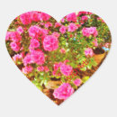 Buscar extravagancia postales Rosa
