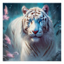 Buscar white tiger Wildlife