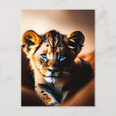 Buscar cachorro de león postales Gran gato