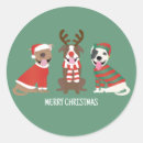 Buscar pozo hecho pegatinas Estafador de pitbull americano