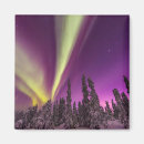 Buscar aurora boreal imanes Bosques