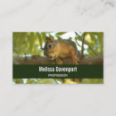 Buscar ardilla tarjetas de visita Adorable