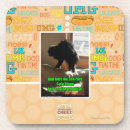 Buscar sofá posavasos Puedo tengo cheezburger