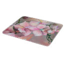 Buscar orquídeas tablas cortar Tabla de despiece