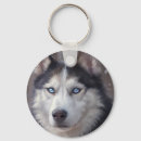 Buscar husky llaveros Perro husky siberiano