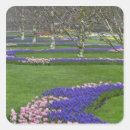 Buscar árbol de tulipán postales Azul