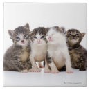 Buscar japonés azulejos Animales