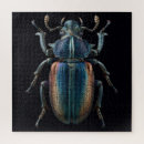 Buscar escarabajo puzzles Entomología