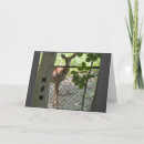 Buscar pares felices tarjetas General y unisex
