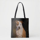 Buscar amstaff accesorios Para todos