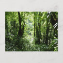 Buscar paisaje con lluvia postales General y unisex