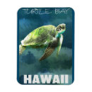 Buscar tortuga hawaiana imanes Tropical