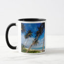 Buscar santo domingo tazas Playa