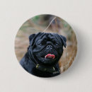 Buscar carlin chapas Negro