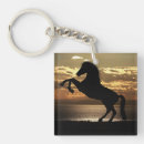 Buscar caballo llaveros Naturaleza