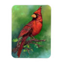 Buscar escarlata rectangulares imanes Cardenal del norte