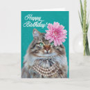 Buscar coon tarjetas Foto