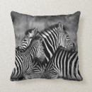 Buscar cebra salvaje cojines Blanco