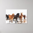 Buscar caballus lienzos Atlántico