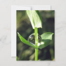 Buscar meditación postales Naturaleza