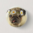 Buscar pug chapas Animal