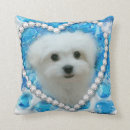 Buscar maltese cojines General y unisex