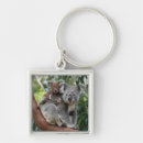 Buscar koala llaveros Bebé