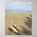 Buscar cáscaras posters Al aire libre
