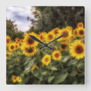 Buscar sunflower relojes de pared Amarillo
