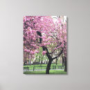 Buscar flores de cerezo lienzos Rosa