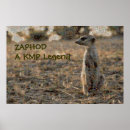Buscar kalahari posters Meerkat