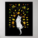 Buscar gato blanco posters Gatos