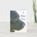 Buscar newfie tarjetas Perros