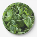 Buscar vegetarianos platos Ensalada