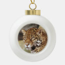 Buscar jaguar adornos Animal