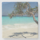 Buscar playa arenosa posavasos Tropical