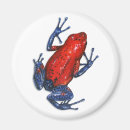 Buscar ranas imanes Fauna