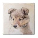 Buscar corbata azulejos Perro