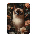 Buscar gatos siameses imanes General y unisex