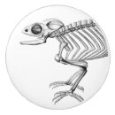 Buscar del esqueleto camaleon lagarto Vintage