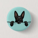 Buscar alemanes chapas Perro