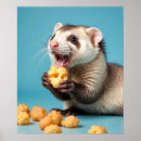 Buscar ferret arte Adorable