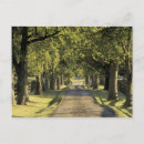Buscar lexington kentucky postales Campo