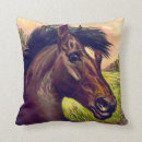 Buscar sangre cojines General y unisex