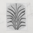 Buscar boomerang postales Aborigen