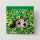 Buscar green day chapas Leprechaun