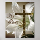 Buscar lirio de pascua posters Pasatiempo