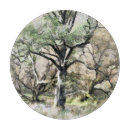 Buscar paisaje rural tablas cortar Naturaleza