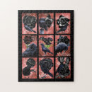 Buscar cuervo puzzles Animales