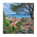 Buscar tejado azulejos Historia